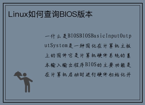 Linux如何查询BIOS版本